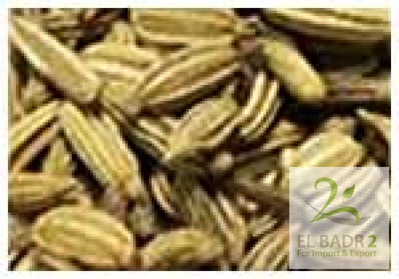 Fennel seeds