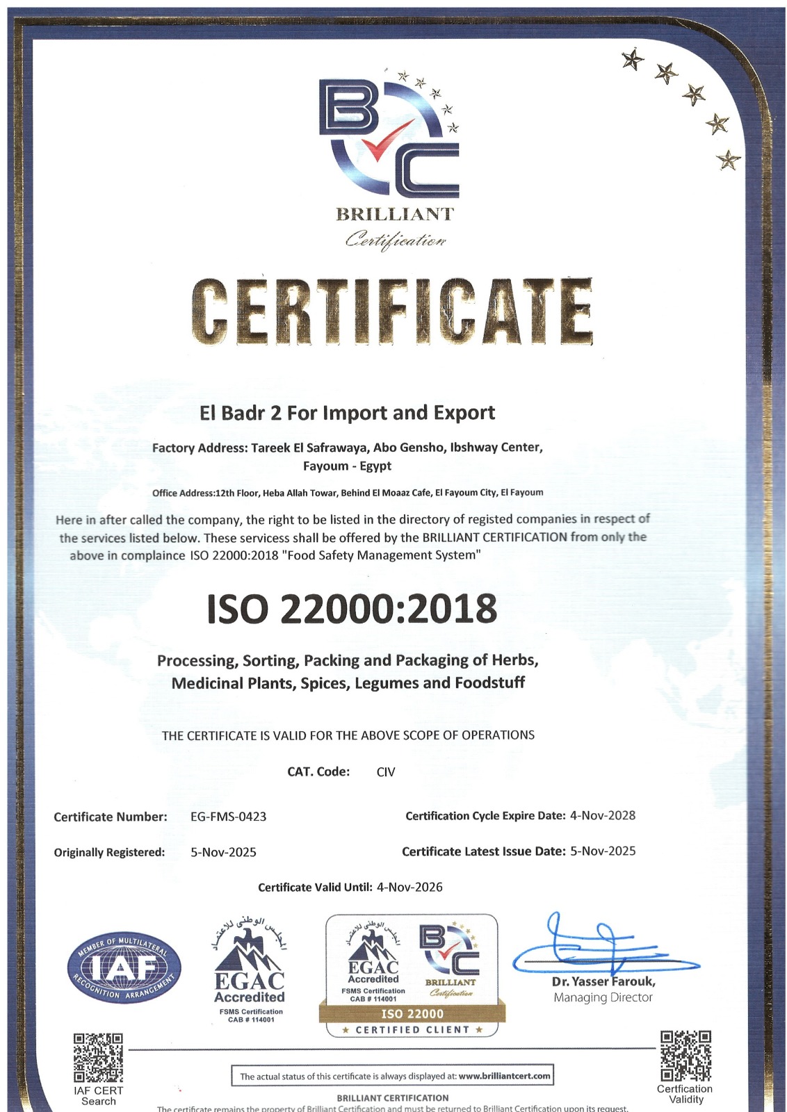 Engineering The Future of Packaging